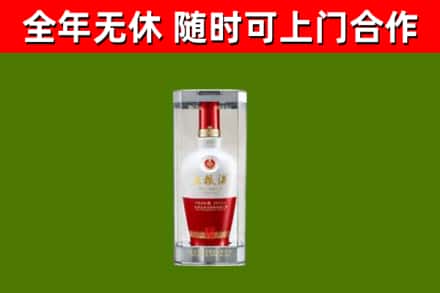 轮台烟酒回收五粮液酒.jpg
