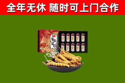 轮台烟酒回收冬虫夏草礼盒.jpg